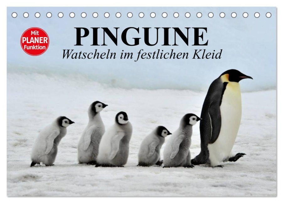 Pinguine - Watscheln im festlichen Kleid (Tischkalender 2026 DIN A5 quer), CALVENDO Monatskalender - Elisabeth Stanzer