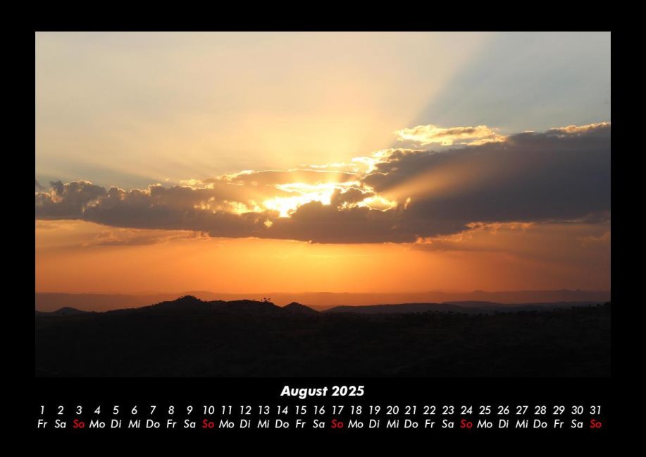 InsideView 12