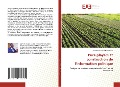 Cover-Bild zum Titel 'Pure players et construction de l'information politique' von 'Godefroid-Nibez Binze Ibiala'