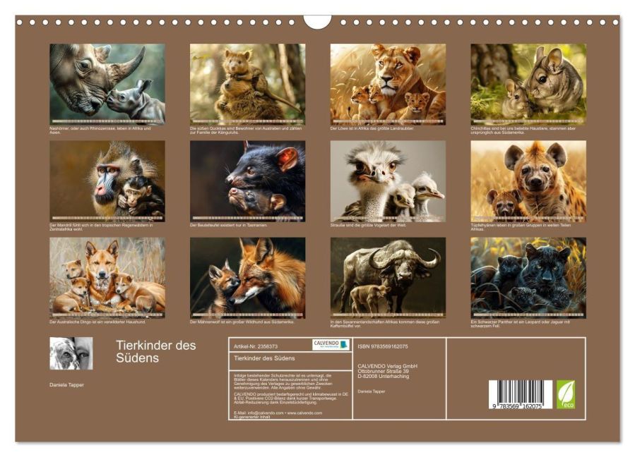 InsideView 5