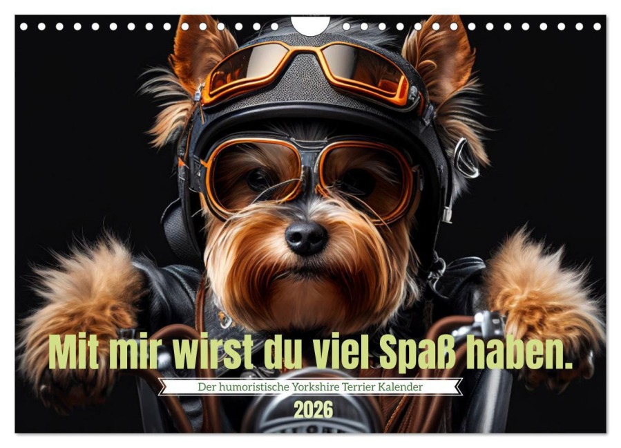 Der humoristische Yorkshire Terrier Kalender (Wandkalender 2026 DIN A4 quer), CALVENDO Monatskalender - Peter Rübsamen
