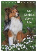 Mit Shelties durchs Jahr (Wandkalender 2026 DIN A4 hoch), CALVENDO Monatskalender - Marion Reiß - Seibert