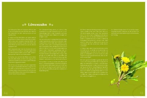 InsideView 4