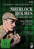 Sherlock Holmes - Die ARD-Komplettbox: Alle 12 Folgen (2 DVDs) - 