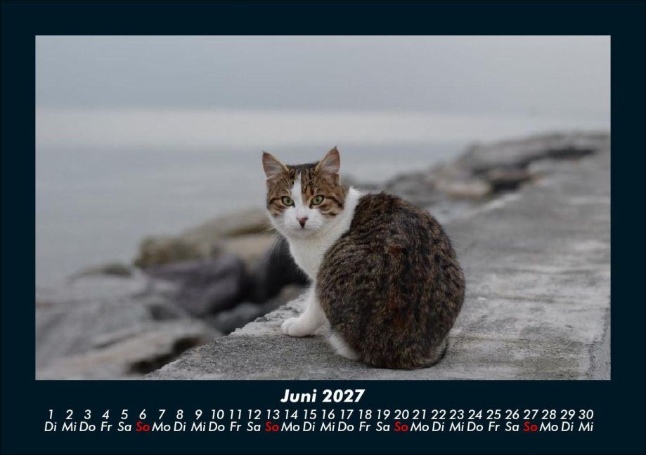 InsideView 10