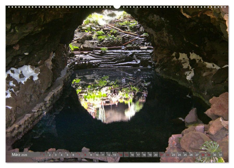 InsideView 8