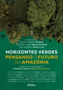 Cover-Bild zum Titel 'HORIZONTES VERDES PENSANDO O FUTURO DA AMAZÔNIA - 1ª ED - 2025' von 'Paulo Umberto Stumpf, Franclim Jorge Sobral Brito, Caio Augusto Souza Lara'