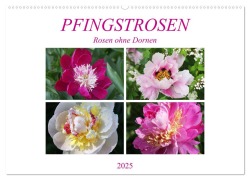 PFINGSTROSEN Rosen ohne Dornen (Wandkalender 2025 DIN A2 quer), CALVENDO Monatskalender - Gisela Kruse