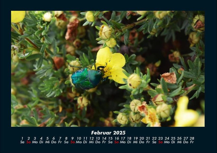 InsideView 6