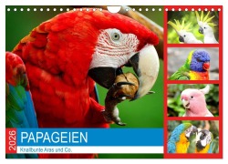 Cover-Bild zum Titel 'Papageien. Knallbunte Aras und Co. (Wandkalender 2026 DIN A4 quer), CALVENDO Monatskalender' von 'Rose Hurley'