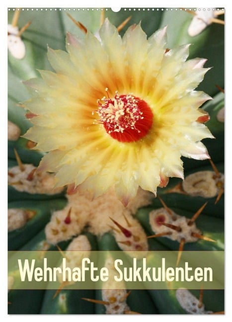 Wehrhafte Sukkulenten (Wandkalender 2026 DIN A2 hoch), CALVENDO Monatskalender - Gisela Kruse