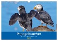 Papageitaucher - Clowns der nordischen Vogelwelt (Wandkalender 2024 DIN A3 quer), CALVENDO Monatskalender - Reinhard Pantke