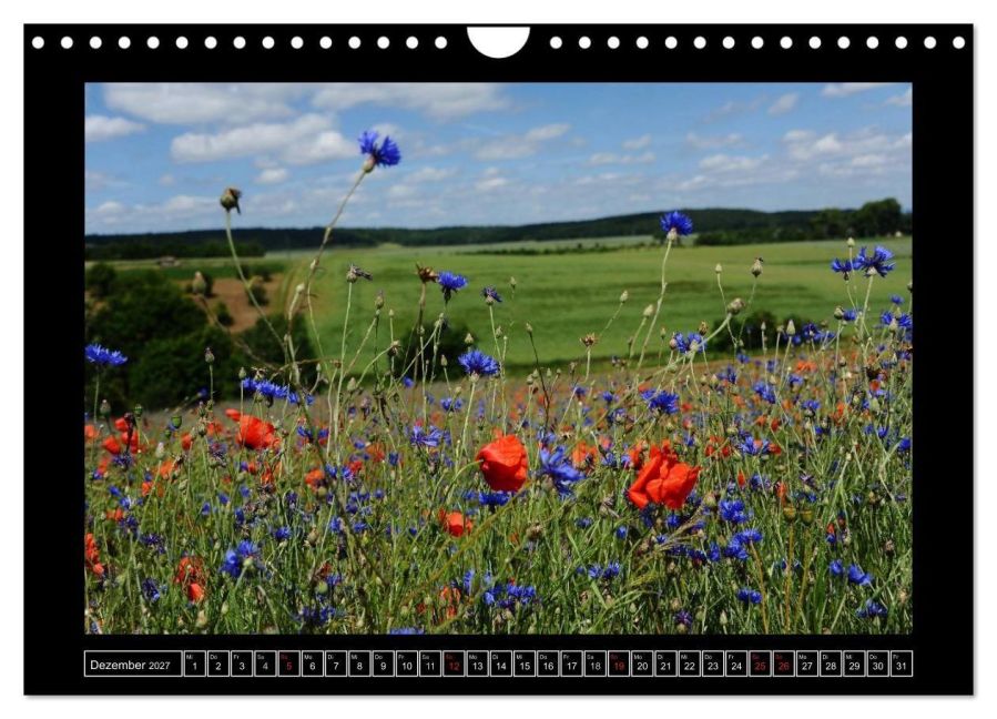 InsideView 4
