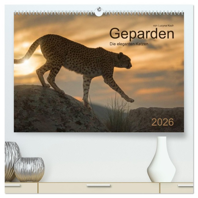 Geparden. Die eleganten Katzen. (hochwertiger Premium Wandkalender 2026 DIN A2 quer), Kunstdruck in Hochglanz - Lucyna Koch