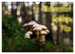 Cover-Bild zum Titel 'Schwammerl Egerlinge Pilze (Wandkalender 2026 DIN A4 quer), CALVENDO Monatskalender' von 'Birte Zabel'