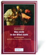 Cover-Bild zum Titel 'Was nicht in der Bibel steht' von 'Uwe-Karsten Plisch'