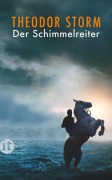 Cover-Bild zum Titel 'Der Schimmelreiter' von 'Theodor Storm'