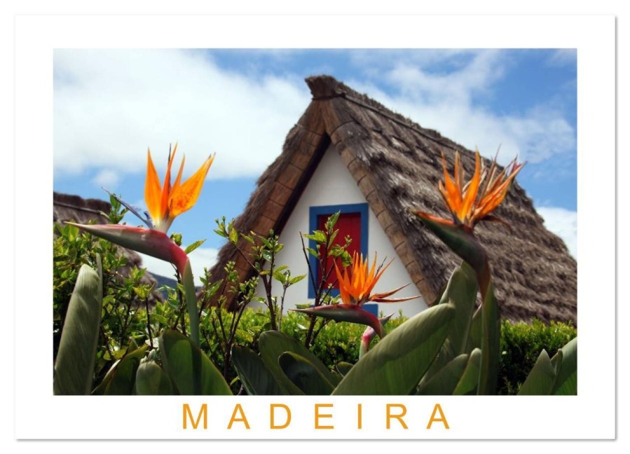 Madeira (Wandkalender 2026 DIN A4 quer), CALVENDO Monatskalender - Thomas Fietzek