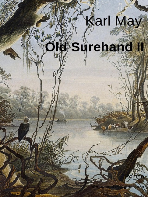 Old Surehand II - Karl May