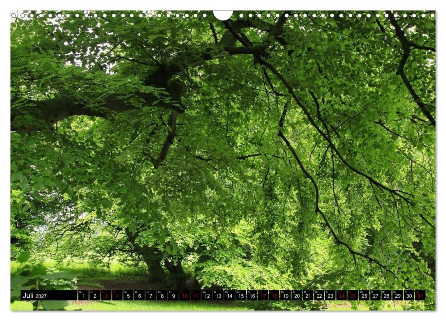 InsideView 12