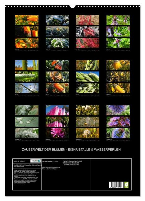 InsideView 5