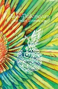 Cover-Bild zum Titel 'Aves-Vademecum' von 'Daniel Simon Richter'