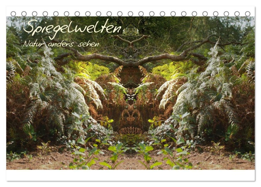 Spiegelwelten - Natur anders sehen (Tischkalender 2025 DIN A5 quer), CALVENDO Monatskalender - Katharina Hubner