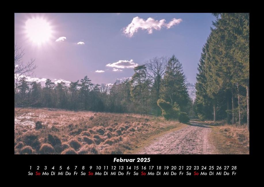 InsideView 6