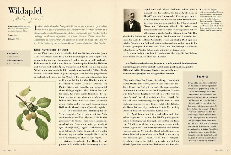 InsideView 5
