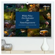 Cover-Bild zum Titel 'Wilde Pilze: Ein Kalender für Naturbegeisterte (hochwertiger Premium Wandkalender 2026 DIN A2 quer), Kunstdruck in Hochglanz' von 'Thomas Heins'