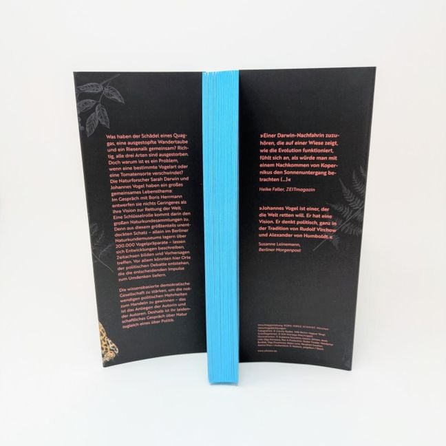 InsideView 6