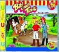 Cover-Bild zum Titel 'Folge 18:Die Lippizaner' von 'Bibi & Tina'