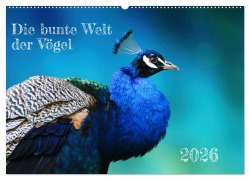 Cover-Bild zum Titel 'Die bunte Welt der Vögel (Wandkalender 2026 DIN A2 quer), CALVENDO Monatskalender' von 'Martina Fornal'