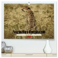 Faszination Grosskatzen gemalt in Öl (hochwertiger Premium Wandkalender 2024 DIN A2 quer), Kunstdruck in Hochglanz - Susan Michel
