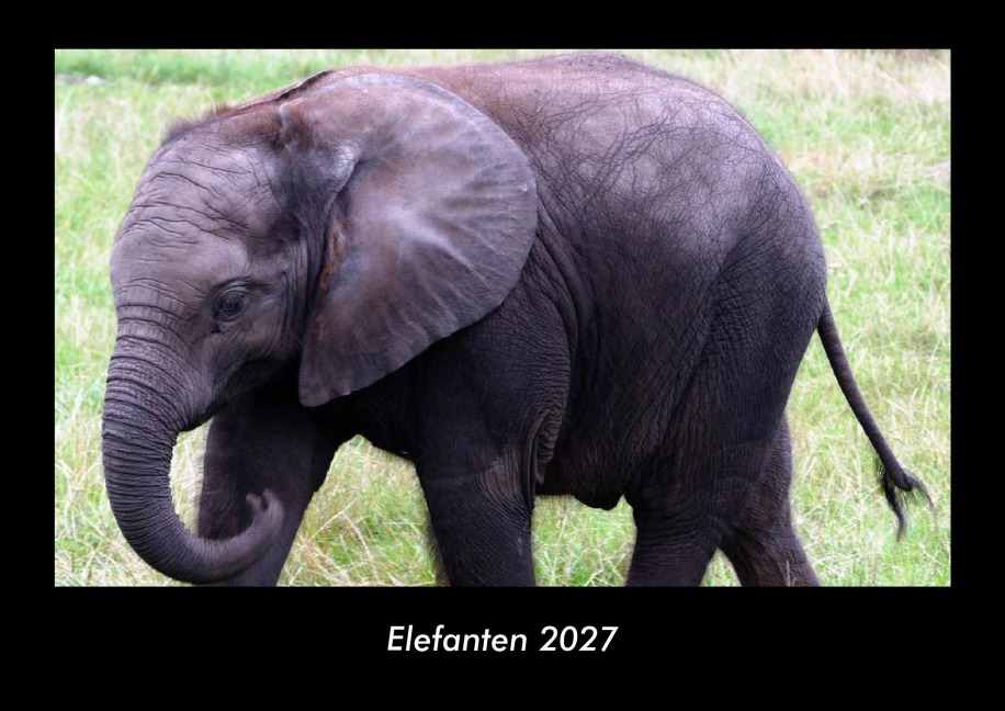 Elefanten 2027 Fotokalender DIN A3 - Tobias Becker