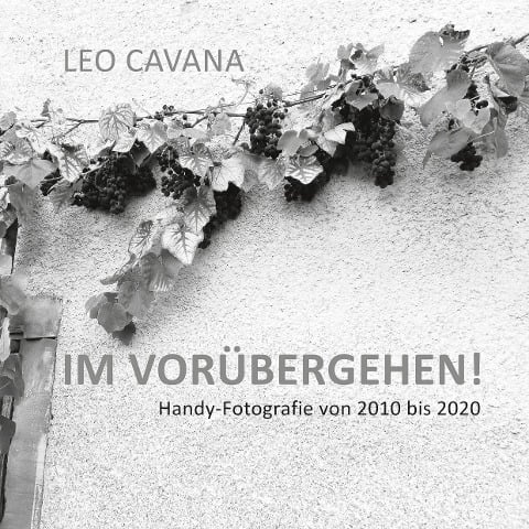 Im Vorübergehen - Leo Cavana