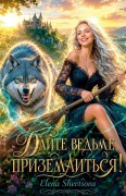 Cover-Bild zum Titel 'Дайте ведьме приземлиться!' von 'Olena Shevtsova'