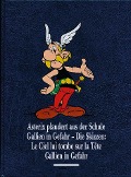 Asterix Gesamtausgabe 12 - Albert Uderzo, René Goscinny