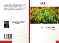Cover-Bild zum Titel 'Biologie végétale' von 'Hakim Alilou'