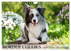 Cover-Bild zum Titel 'Border Collies - nicht nur schwarzweiß (Wandkalender 2026 DIN A4 quer), CALVENDO Monatskalender' von 'Judith Kiener - DoraZett'