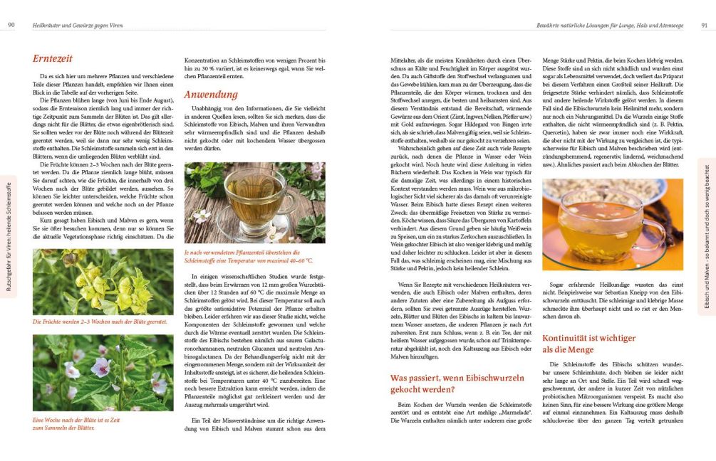 InsideView 11