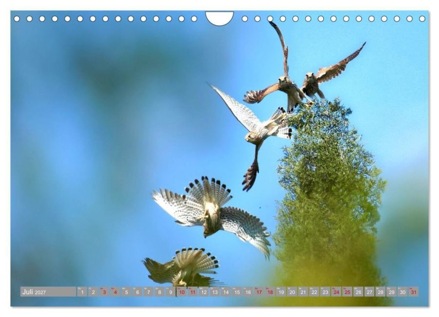 InsideView 12