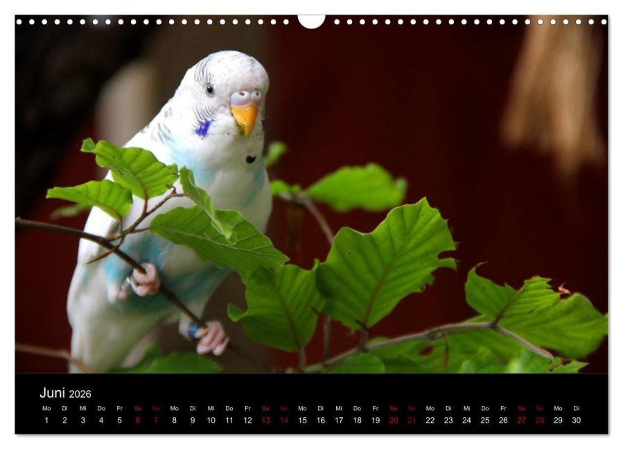 InsideView 11