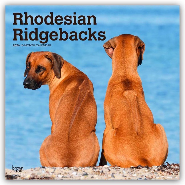 Rhodesian Ridgebacks - Rhodesian Ridgeback 2026 - 16-Monatskalender - Browntrout Publishers