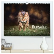 Cover-Bild zum Titel 'Bengalen Outdoor und Action (hochwertiger Premium Wandkalender 2026 DIN A2 quer), Kunstdruck in Hochglanz' von 'Andreas Krappweis'