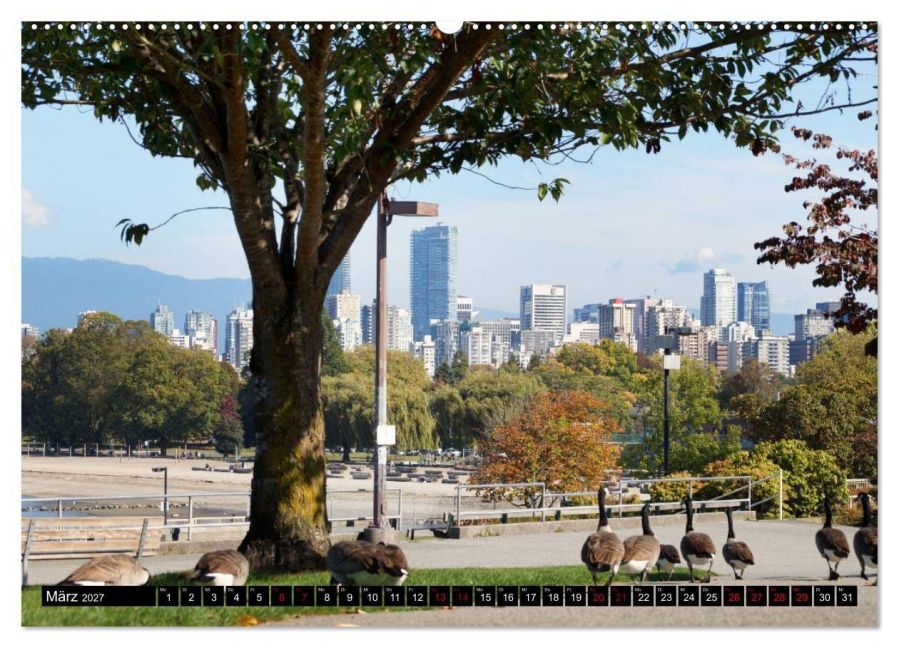 InsideView 8