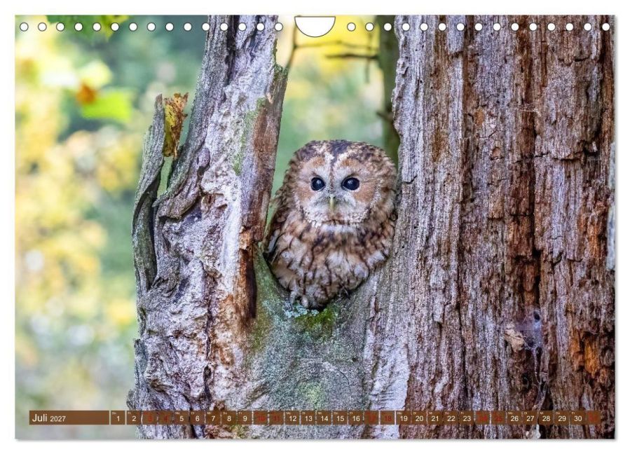 InsideView 12