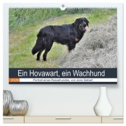 Cover-Bild zum Titel 'Ein Hovawart, ein Wachhund (hochwertiger Premium Wandkalender 2026 DIN A2 quer), Kunstdruck in Hochglanz' von 'Jens Siebert'