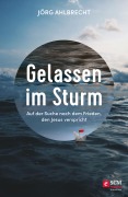 Cover-Bild zum Titel 'Gelassen im Sturm' von 'Jörg Ahlbrecht'