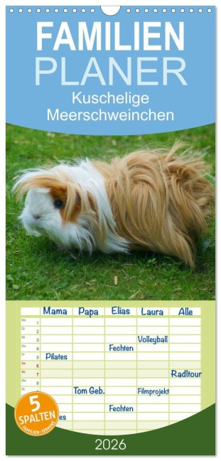 Familienplaner 2026 - Kuschelige Meerschweinchen mit 5 Spalten (Wandkalender, 21 x 45 cm) CALVENDO - Kattobello Kattobello